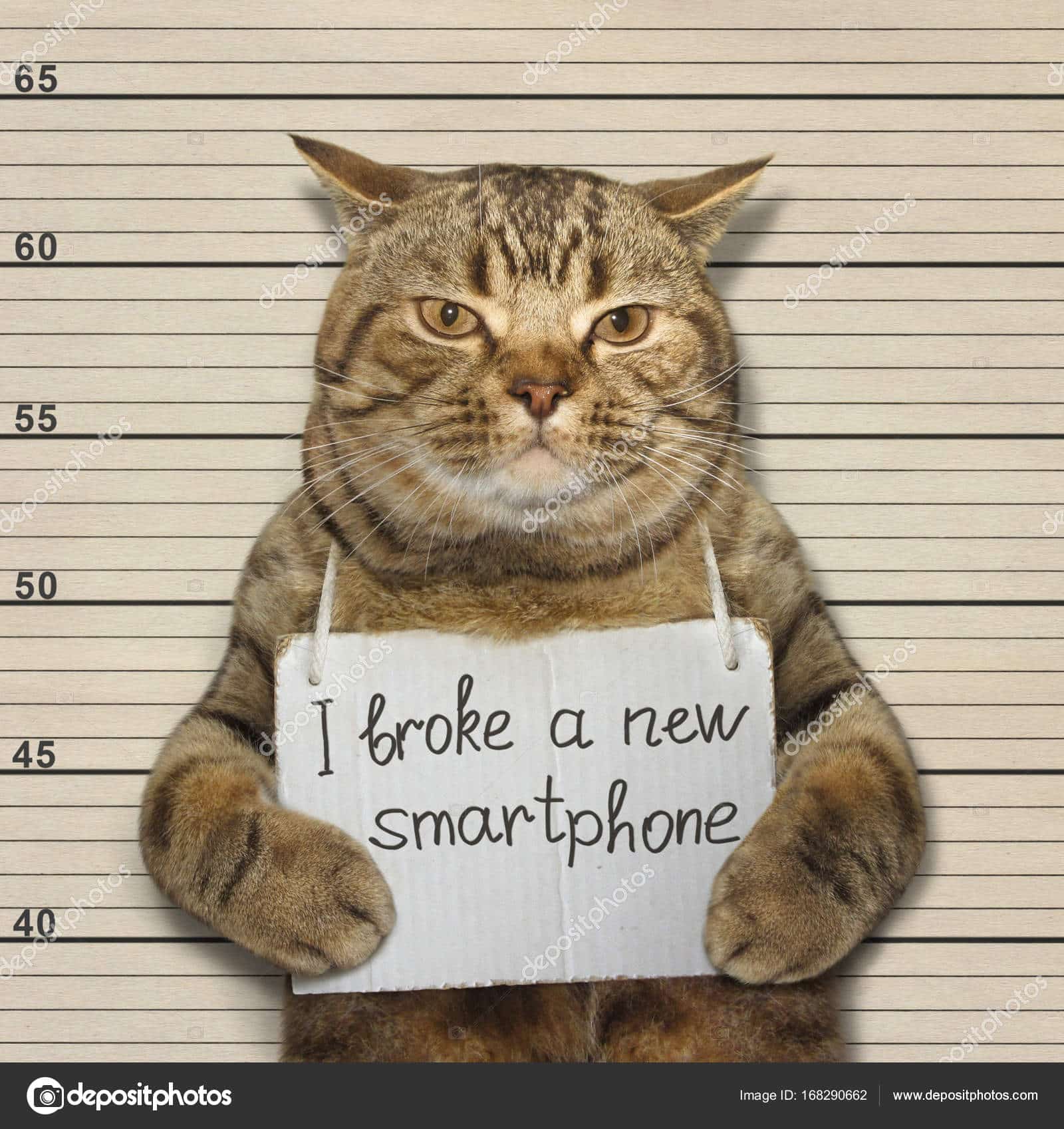 The bad cat broke a new smartphone. He went to prison for it.
